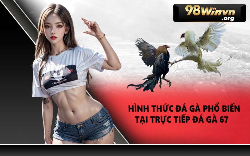 Hình thức đá gà phổ biến tại trực tiếp đá gà 67