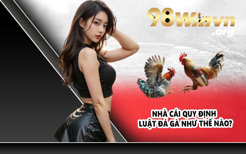 Nhà cái quy định luật đá gà như thế nào?
